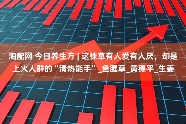 淘配网 今日养生方 | 这株草有人爱有人厌，却是上火人群的“清热能手”_鱼腥草_黄穗平_生姜