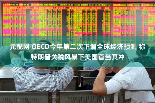 元配网 OECD今年第二次下调全球经济预测 称特朗普关税风暴下美国首当其冲