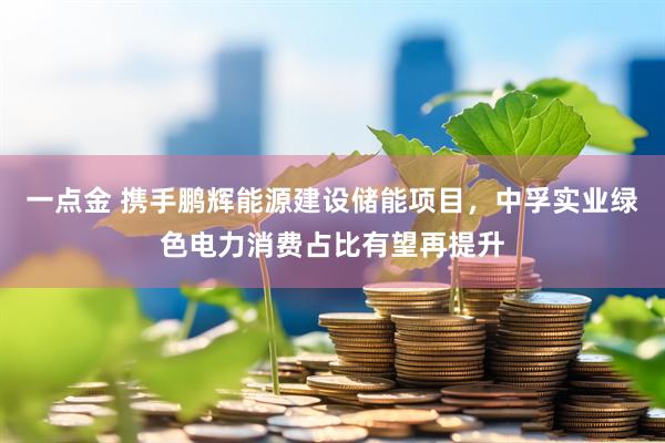一点金 携手鹏辉能源建设储能项目，中孚实业绿色电力消费占比有望再提升