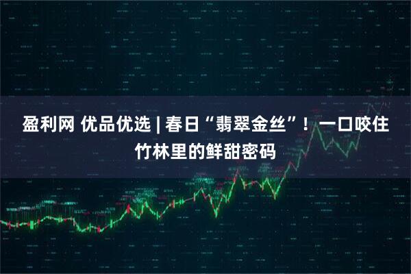 盈利网 优品优选 | 春日“翡翠金丝”！一口咬住竹林里的鲜甜密码