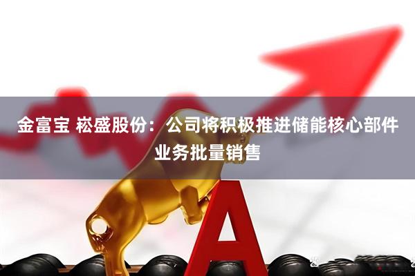 金富宝 崧盛股份：公司将积极推进储能核心部件业务批量销售