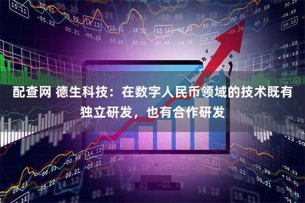配查网 德生科技：在数字人民币领域的技术既有独立研发，也有合作研发
