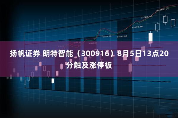 扬帆证券 朗特智能（300916）8月5日13点20分触及涨停板