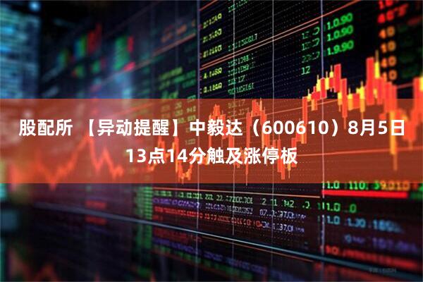 股配所 【异动提醒】中毅达（600610）8月5日13点14分触及涨停板
