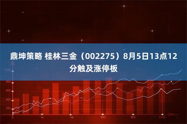 鼎坤策略 桂林三金（002275）8月5日13点12分触及涨停板