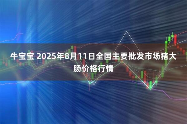 牛宝宝 2025年8月11日全国主要批发市场猪大肠价格行情