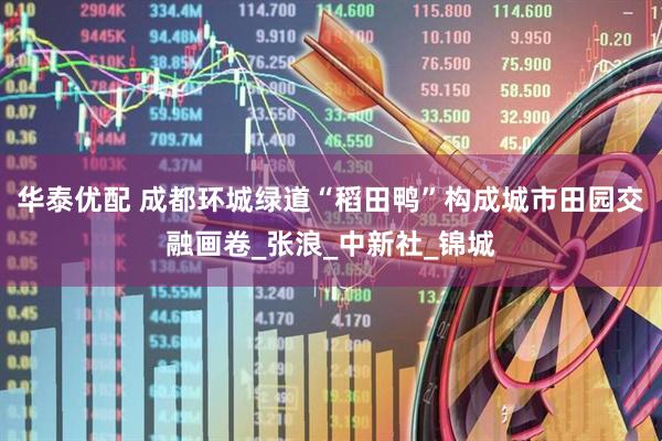 华泰优配 成都环城绿道“稻田鸭”构成城市田园交融画卷_张浪_中新社_锦城