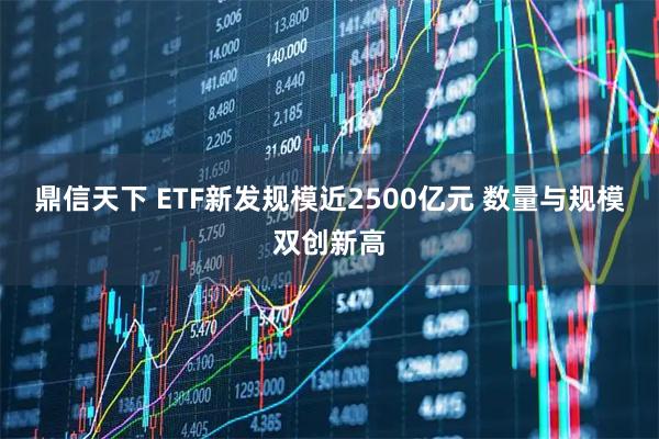 鼎信天下 ETF新发规模近2500亿元 数量与规模双创新高